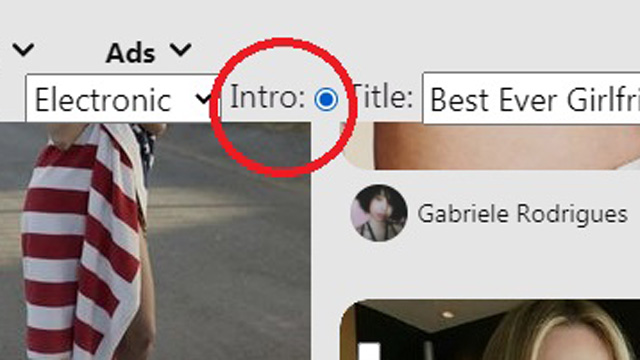 Click the Intro radio button to add an introduction